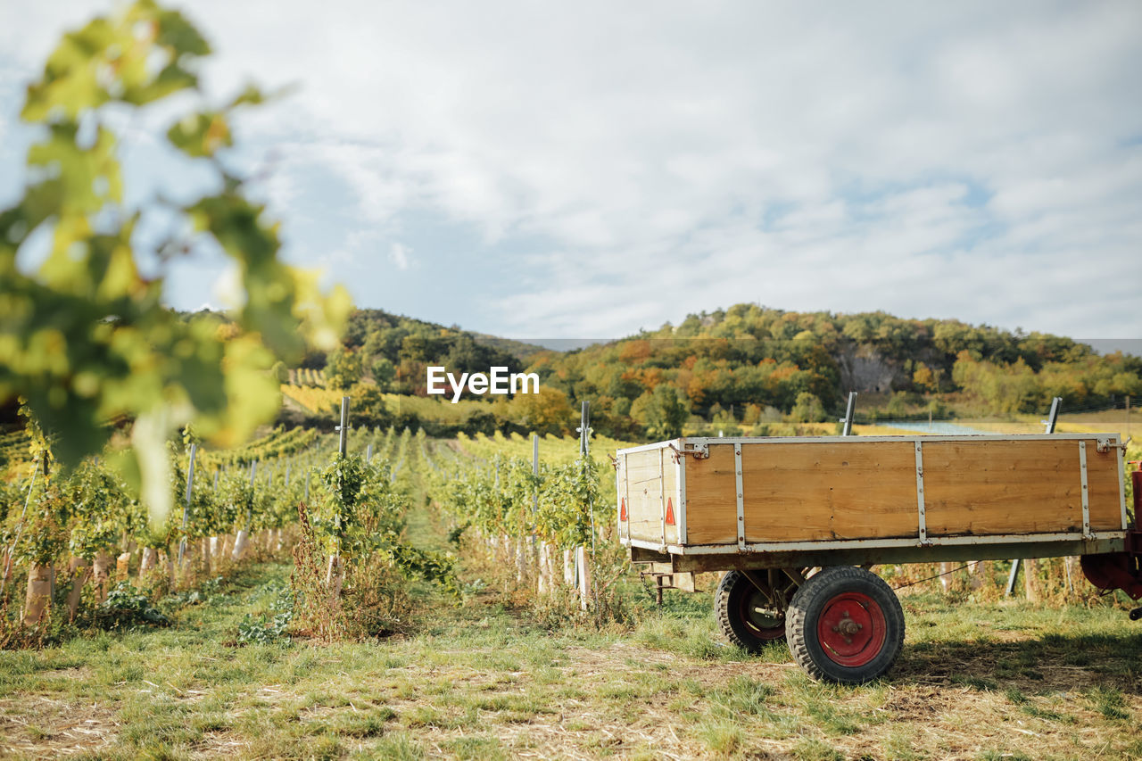 Trailer of a tractor in a vineyard