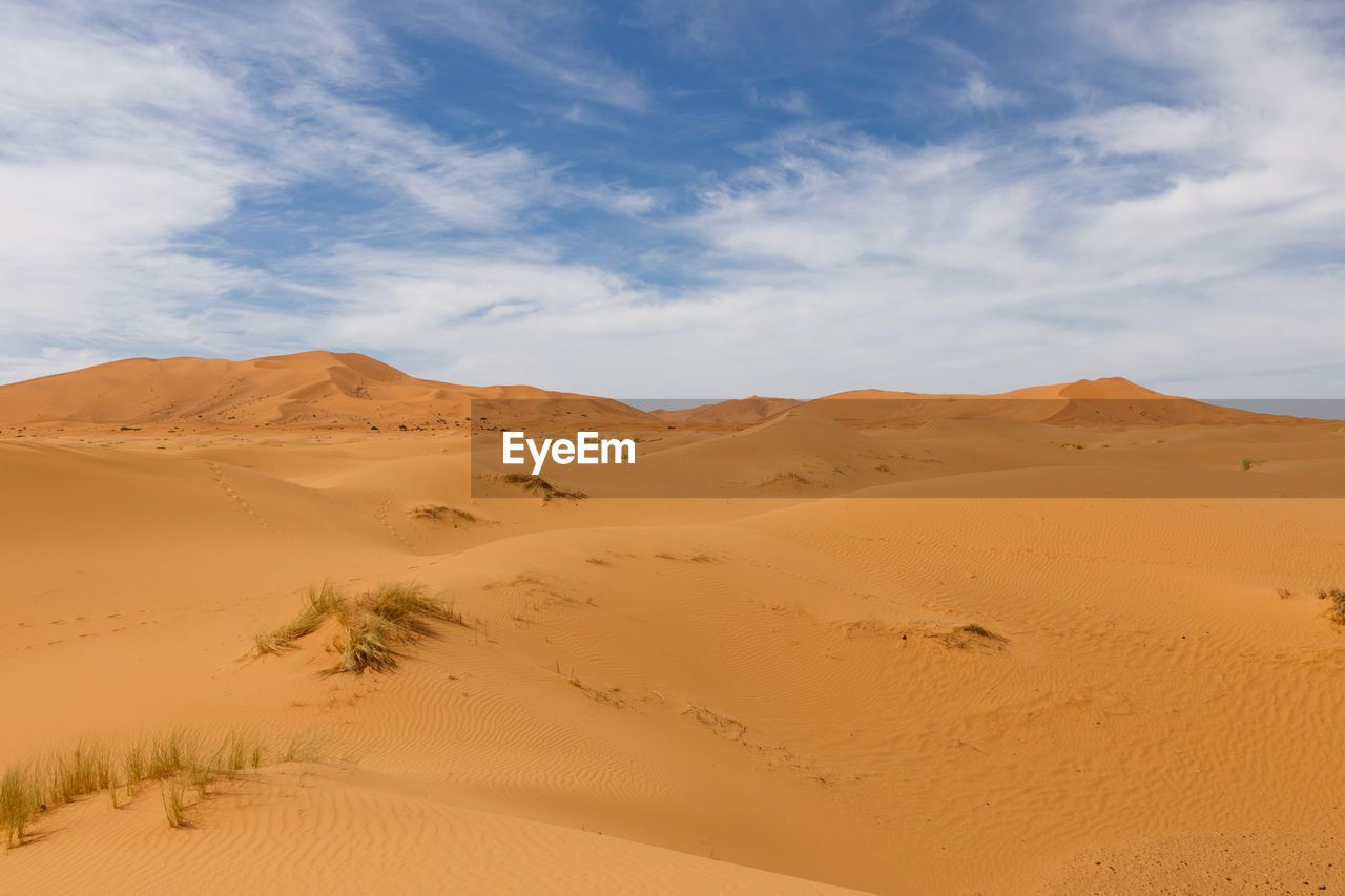 SCENIC VIEW OF SAND DUNES AGAINST SKY