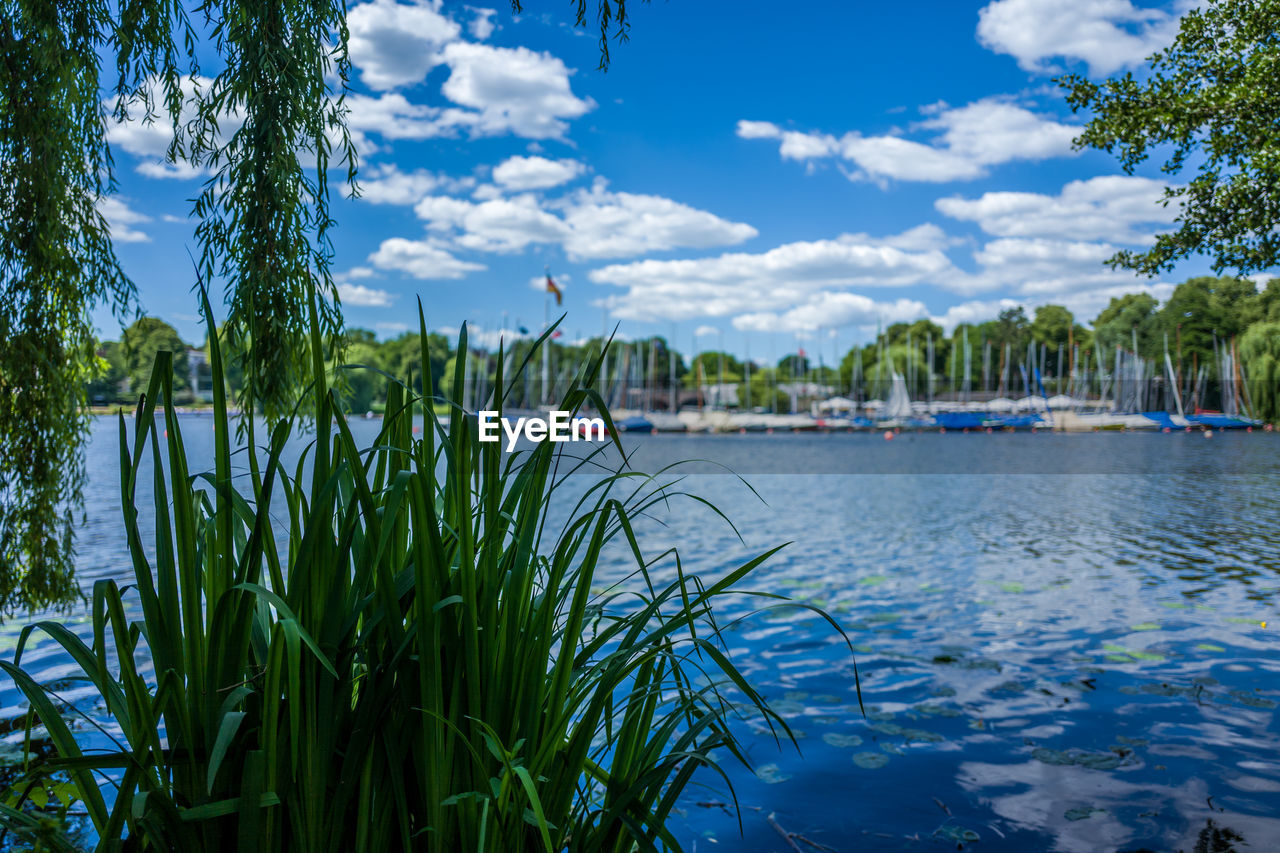 SAILBOATS ON LAKE AGAINST SKY