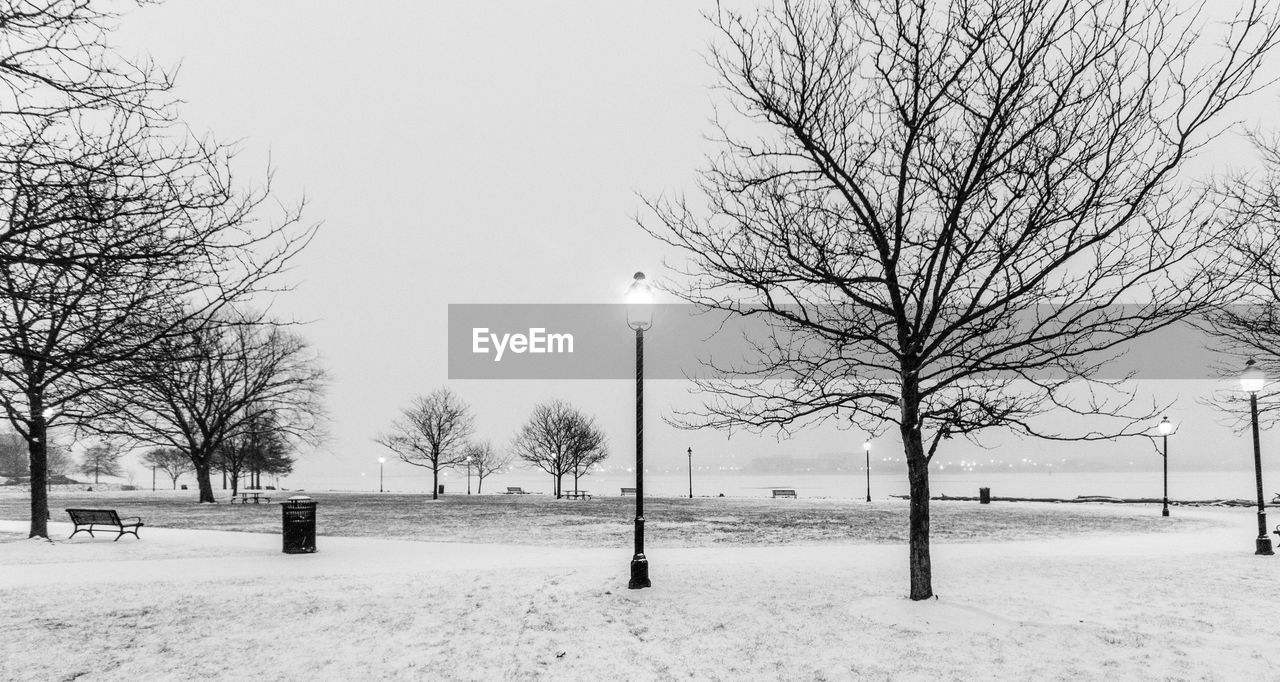 Bare trees on snow covered landscape against sky