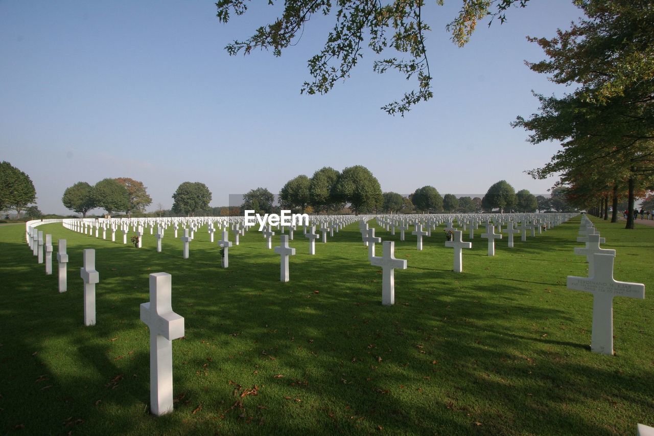 Crosses at the american cemetery against clear sky