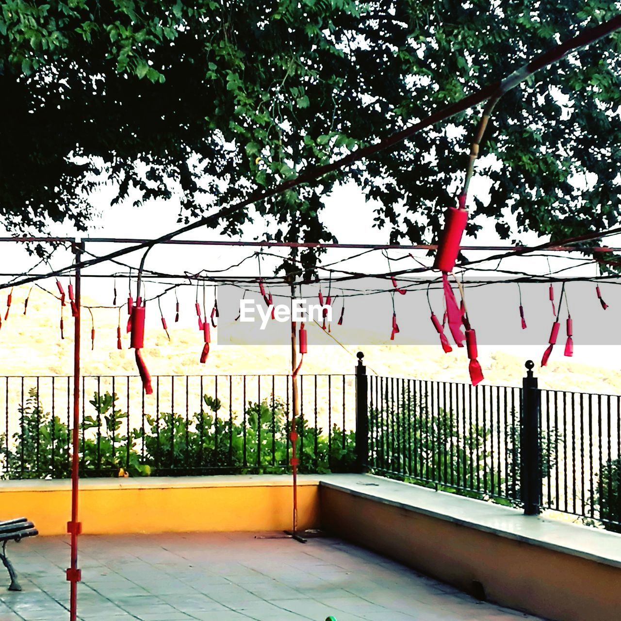 HANGING FROM TREE AGAINST SKY