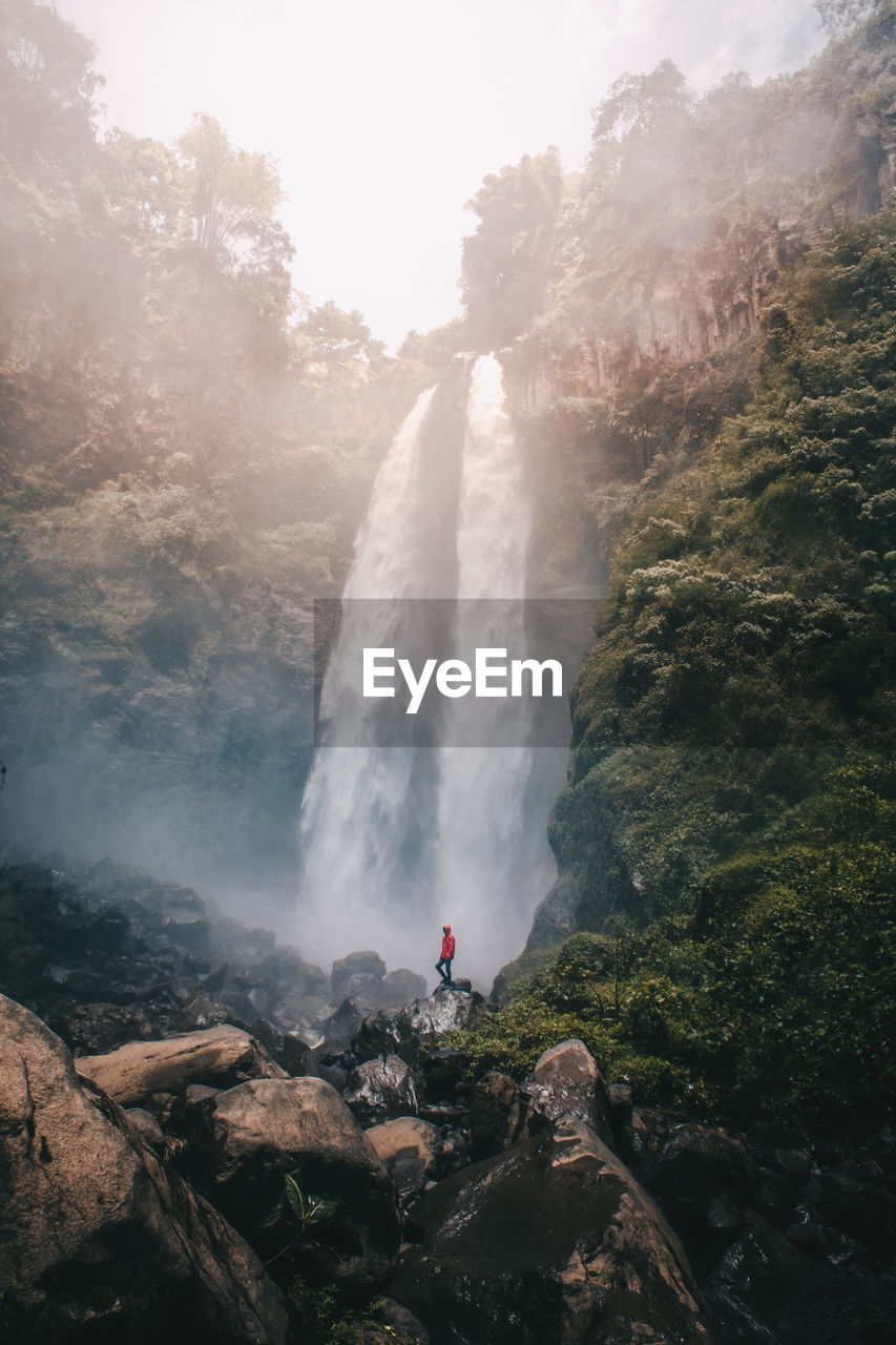 Scenic view of waterfall in forest