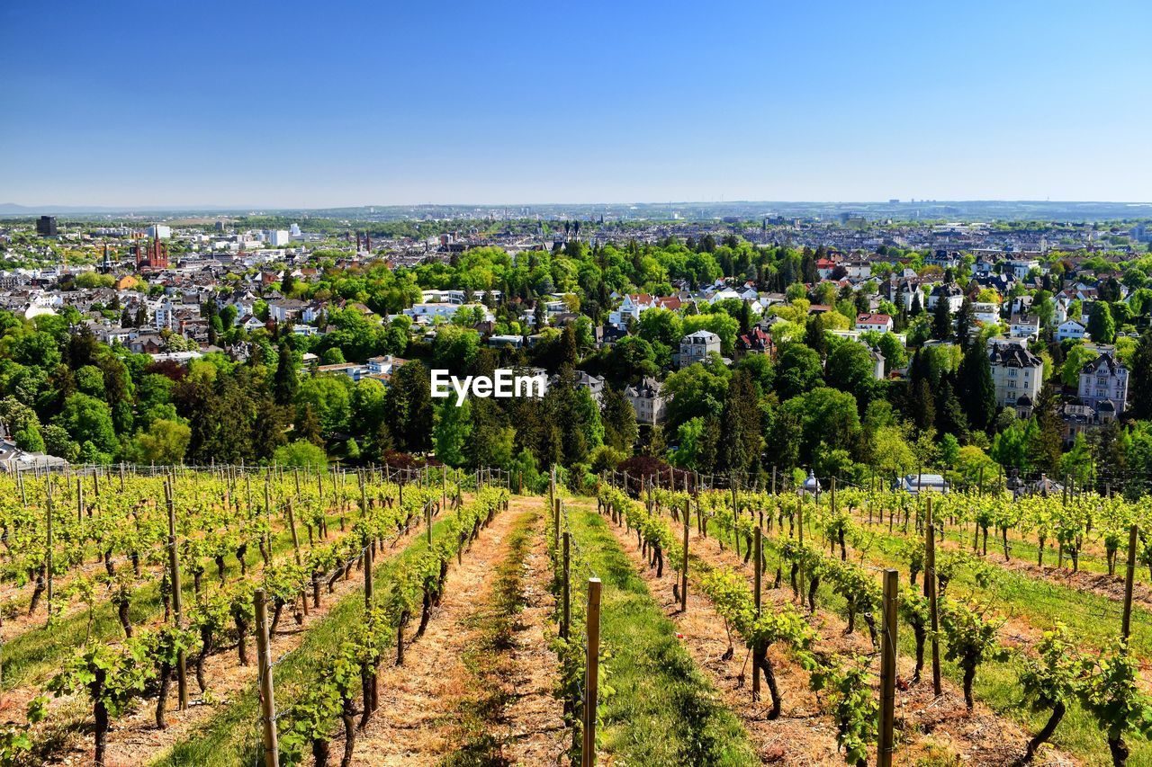 Wiesbaden neroberg city view panorama