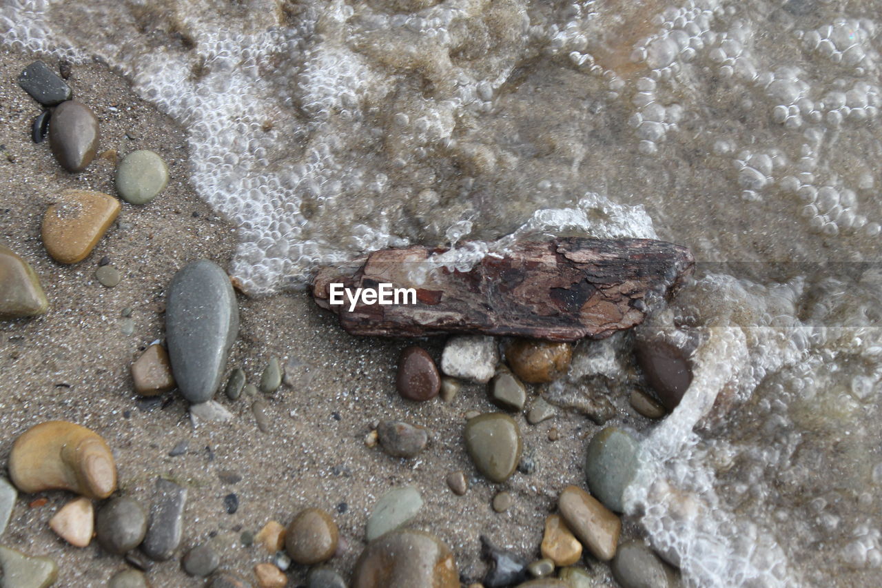 CLOSE-UP OF CRAB ON SHORE