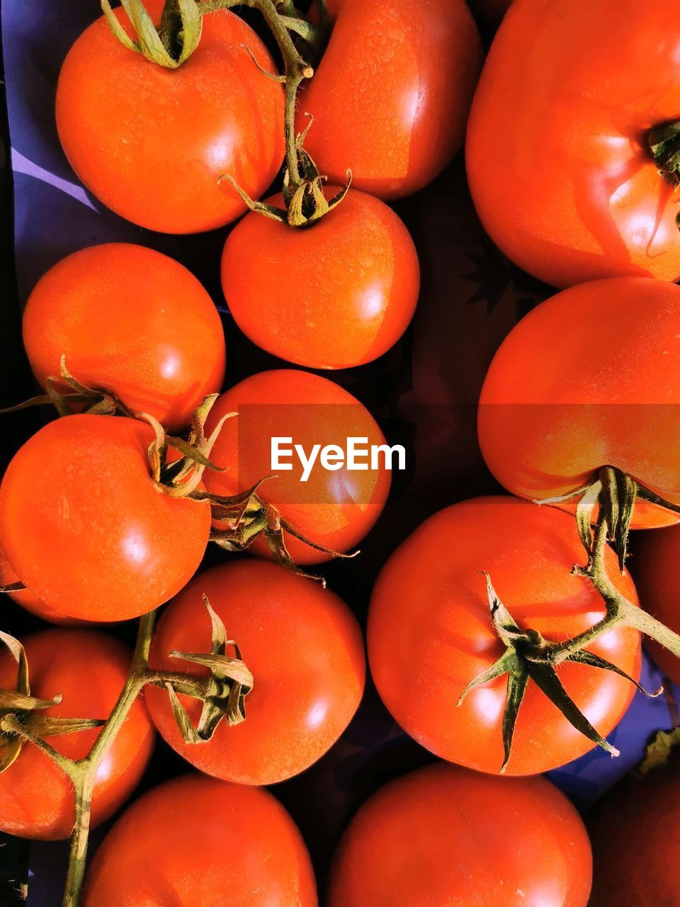 HIGH ANGLE VIEW OF TOMATOES IN MARKET