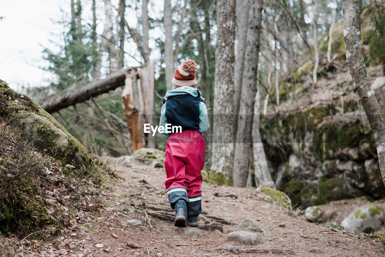 Rear view of a young girl hiking through a forest in sweden