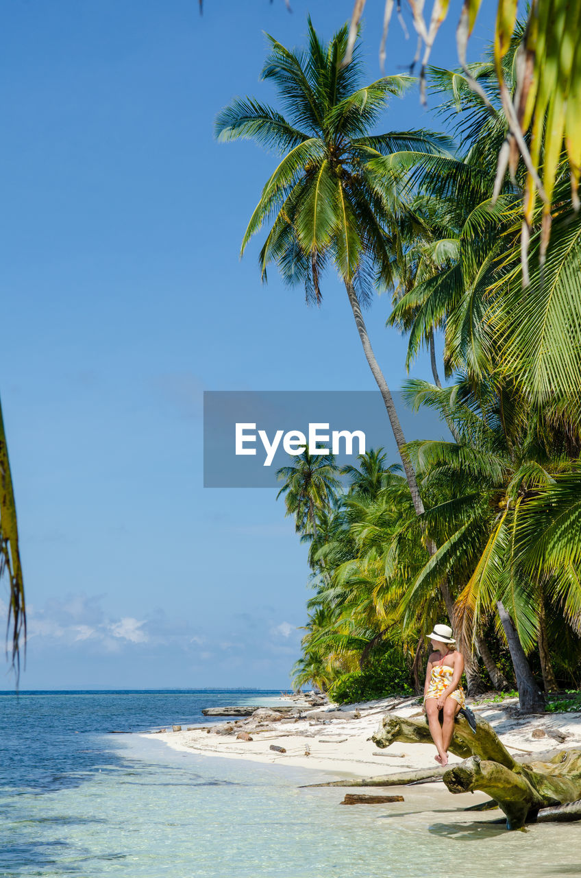 Palm trees on beach against sky