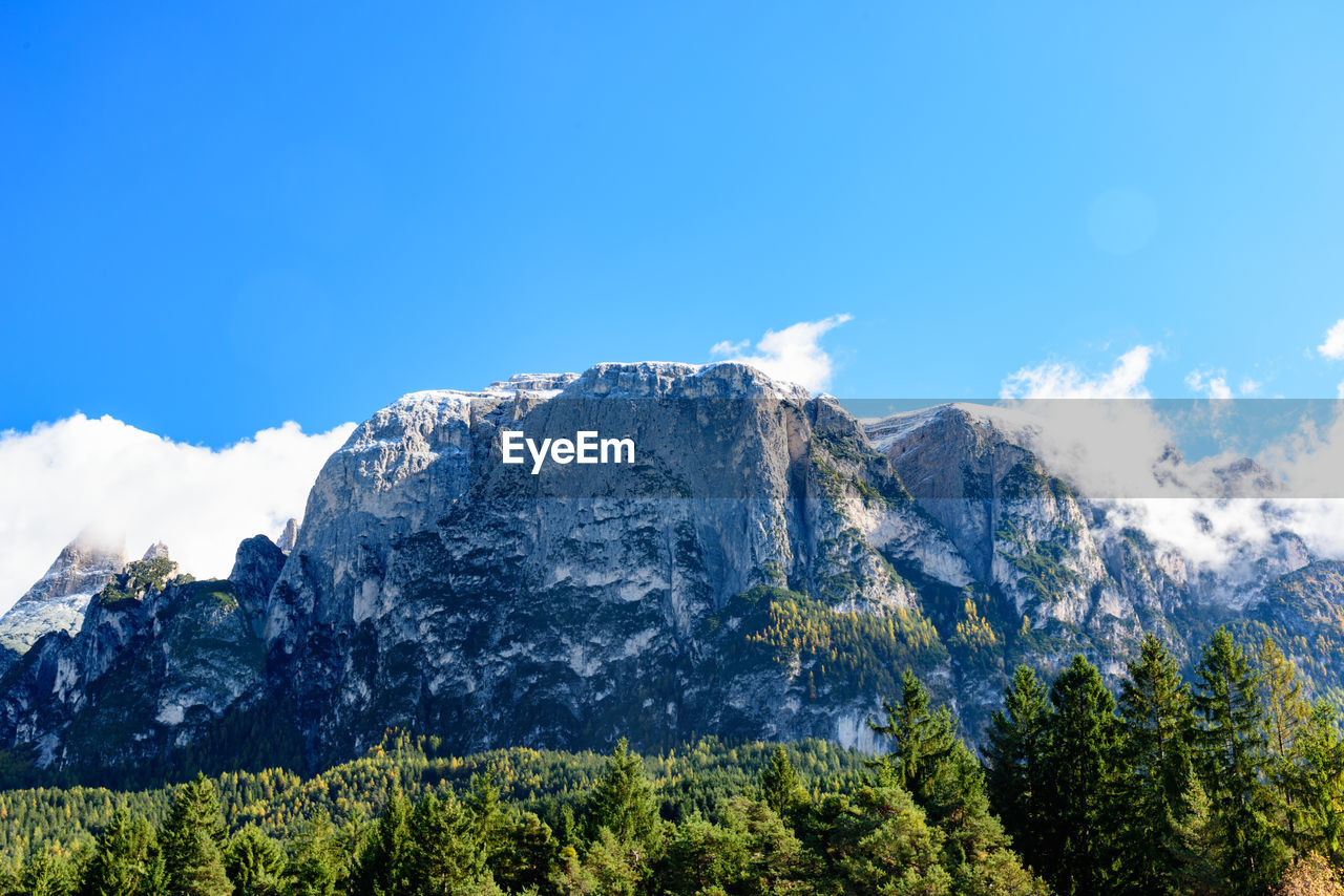 Scenic view of trees by mountains against blue sky