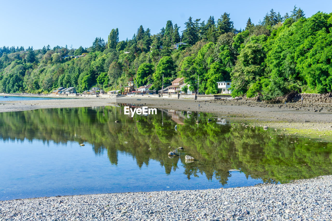 Trees and homes are reflected in a tide pool in des moines, washington.