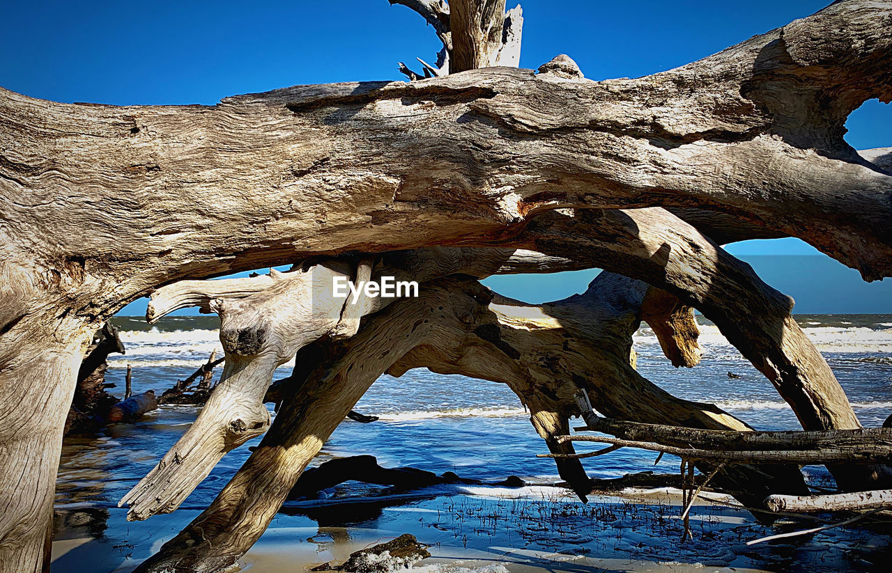 DRIFTWOOD ON BEACH AGAINST CLEAR SKY