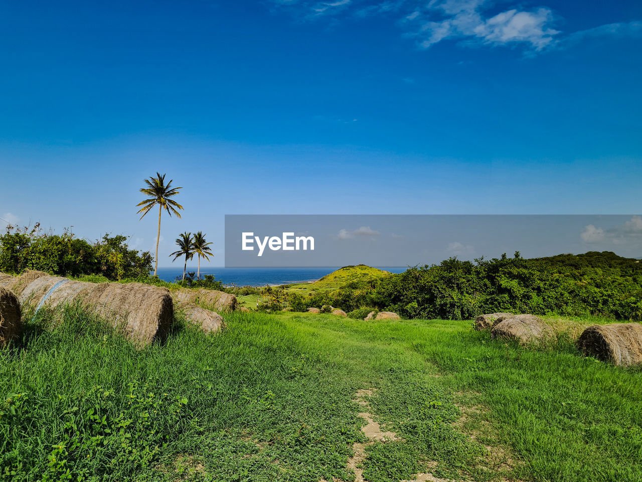 SCENIC VIEW OF LANDSCAPE AGAINST BLUE SKY