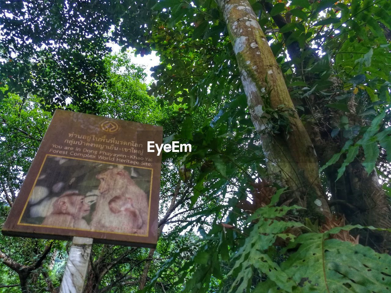 LOW ANGLE VIEW OF INFORMATION SIGN