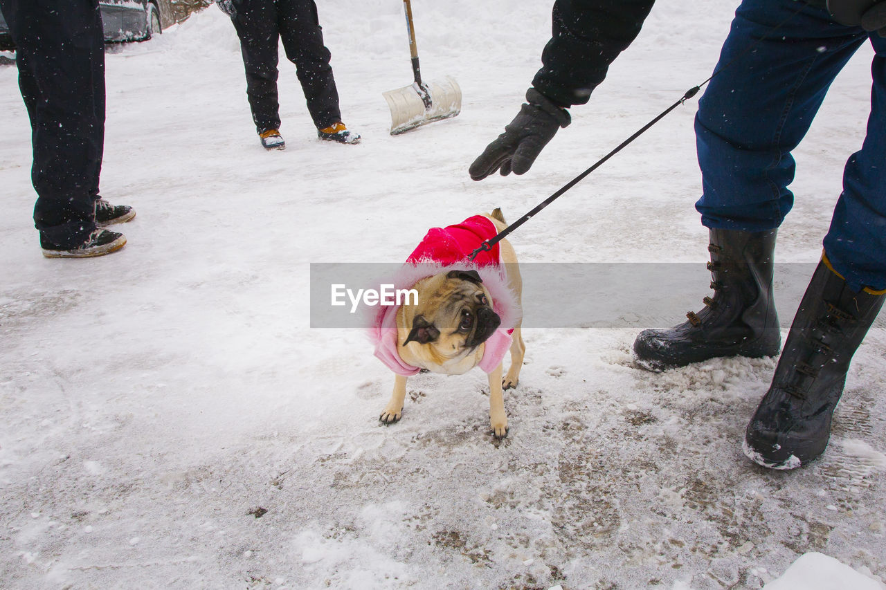 LOW SECTION OF PEOPLE WITH DOG IN SNOW