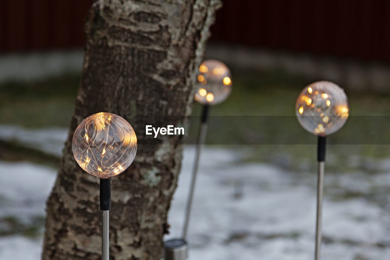 CLOSE-UP OF ILLUMINATED LIGHTING EQUIPMENT ON TREE TRUNK