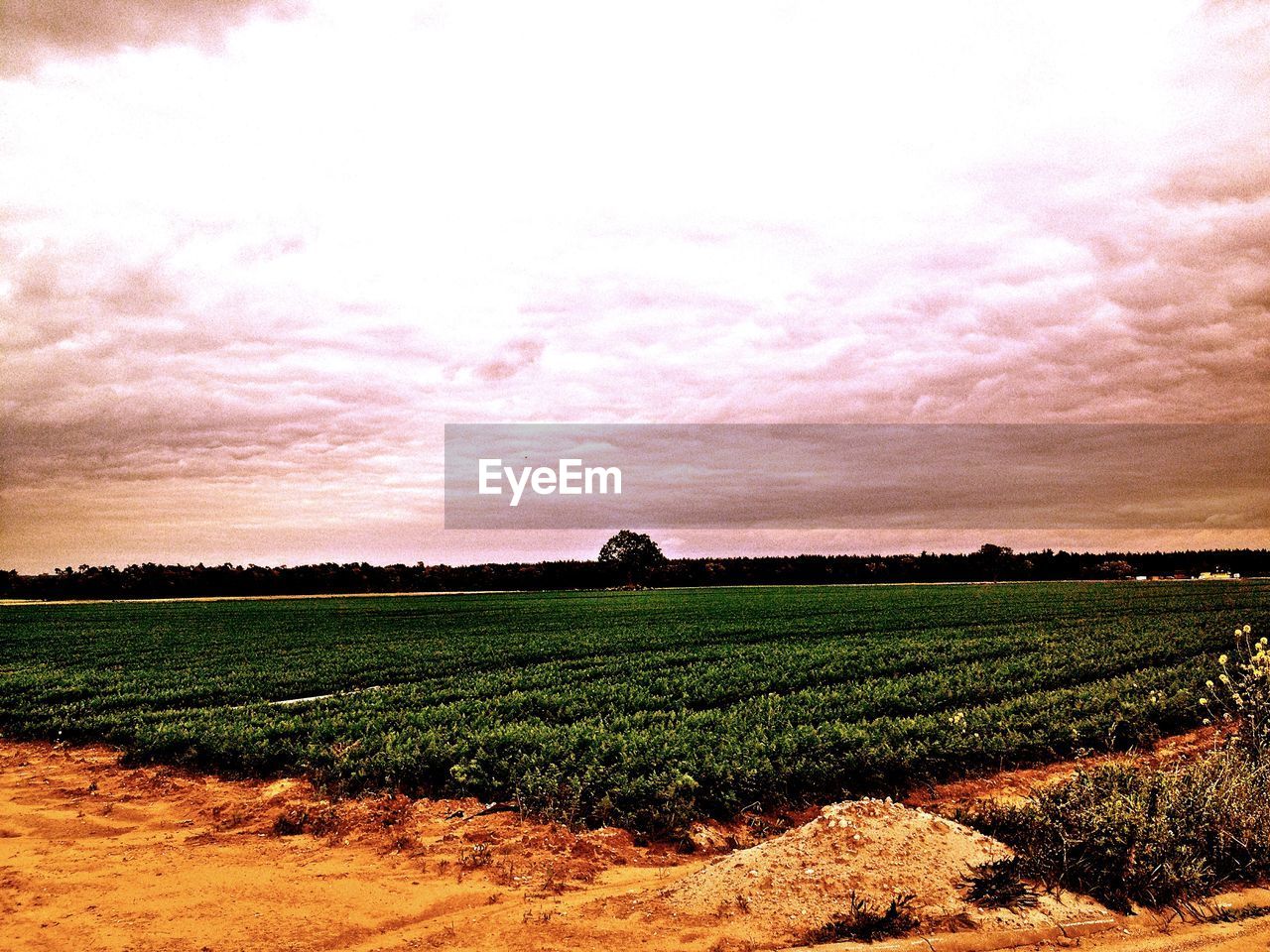 RURAL LANDSCAPE AGAINST SKY