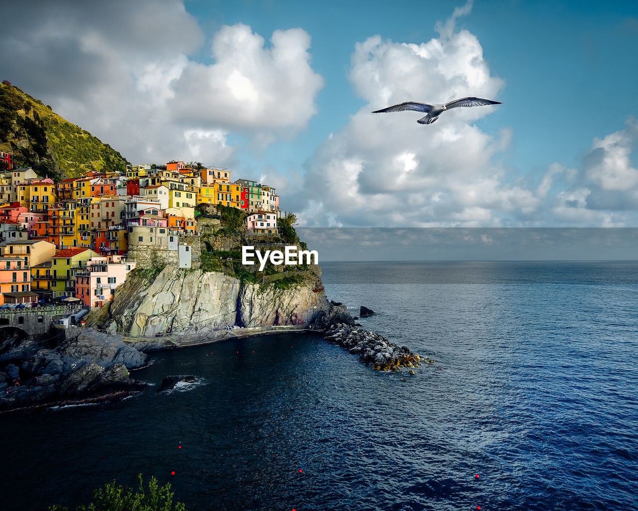 View of manarola in summer with seagull flying over head