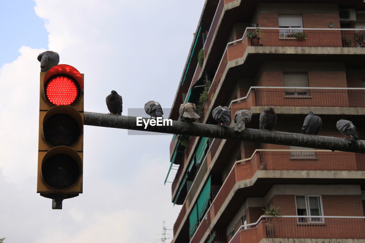 Low angle view of road signal against buildings