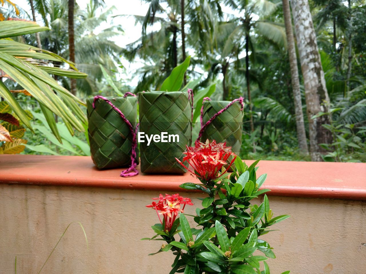 A traditional flower pot for plucking flowers