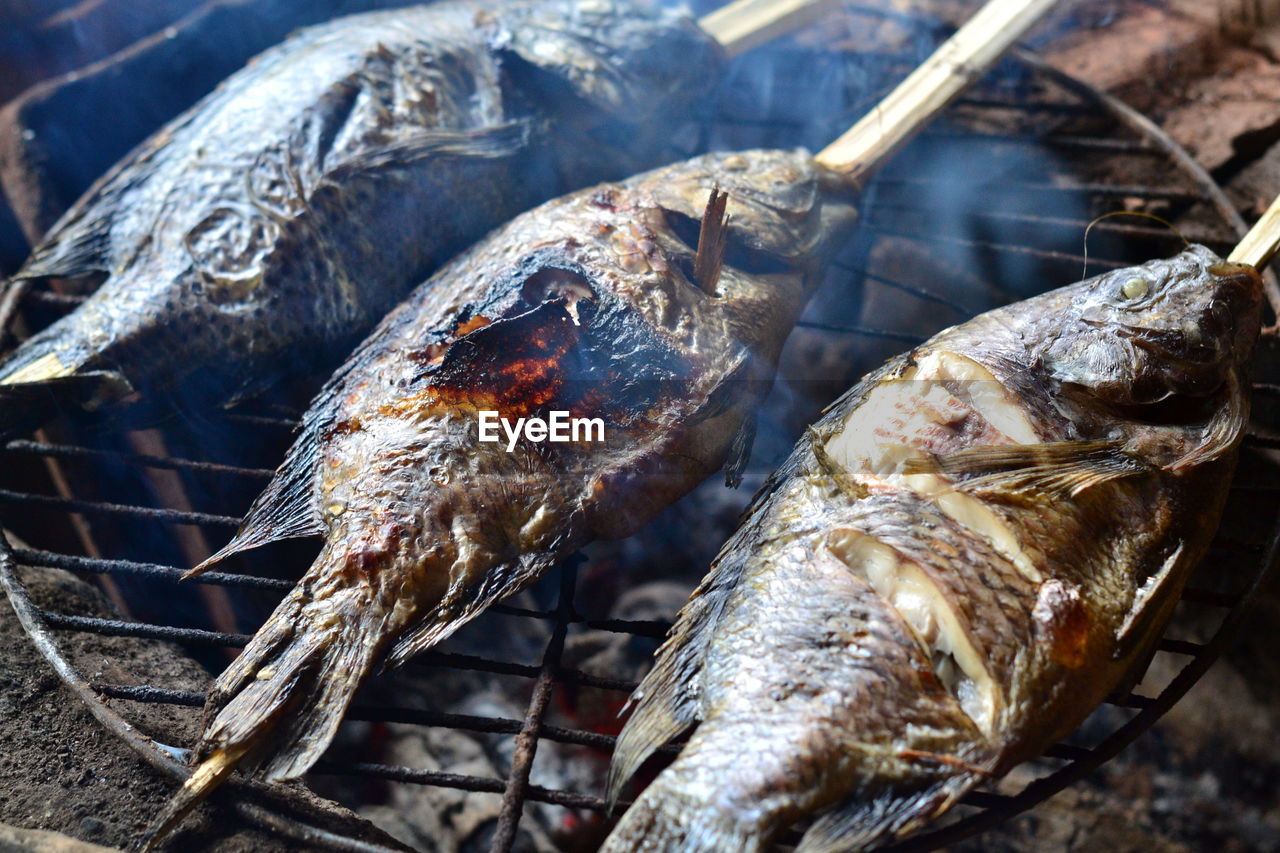 Close-up of fish on barbecue grill