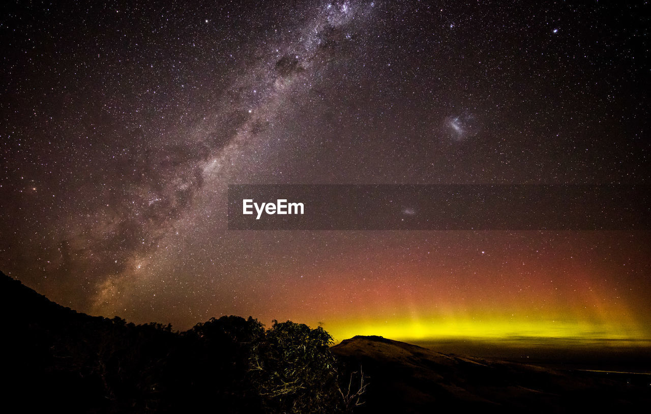 SCENIC VIEW OF TREE AGAINST STAR FIELD