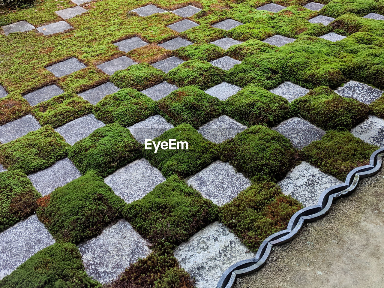 High angle view of moss and stones in zen garden.