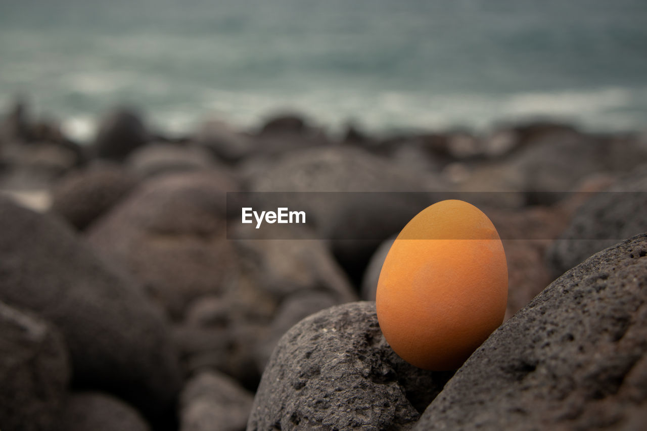 Close-up of egg en the beach 
