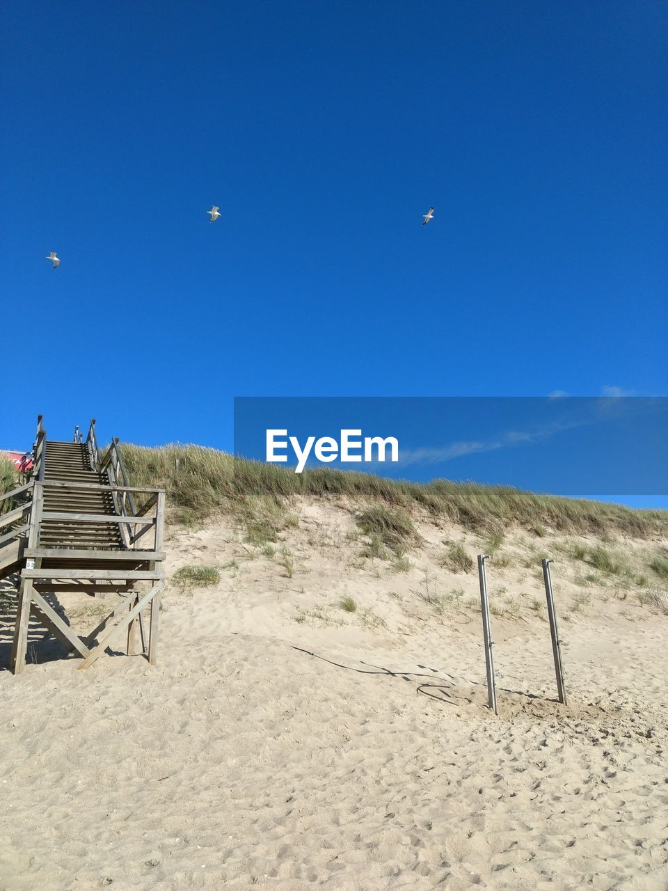 View of beach against blue sky