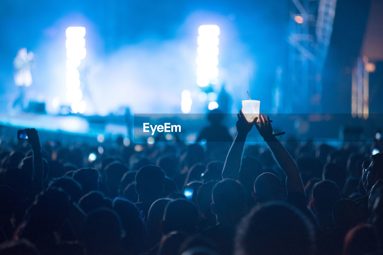 Crowd at music concert