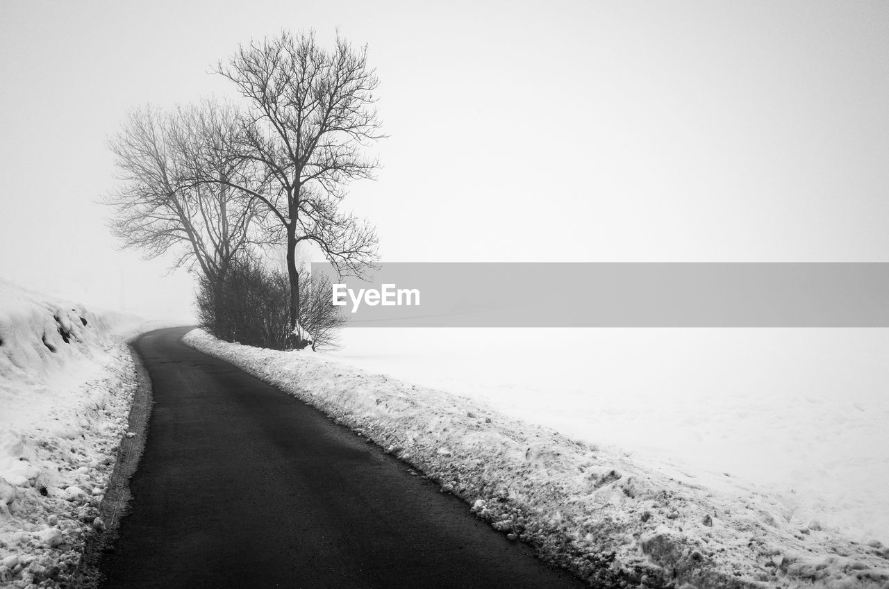 BARE TREES ON SNOW COVERED LANDSCAPE