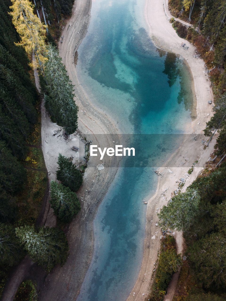 HIGH ANGLE VIEW OF TREES ON LAND