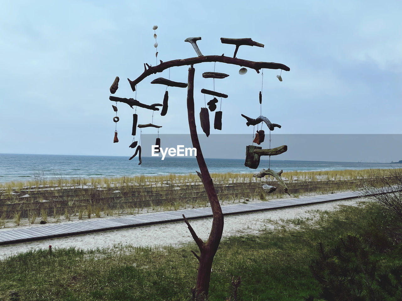 water, sky, nature, wind, sea, day, no people, text, horizon over water, coast, cloud, horizon, plant, communication, outdoors, land, beauty in nature, tranquility, beach, scenics - nature, sign, tree, tranquil scene, western script, bird