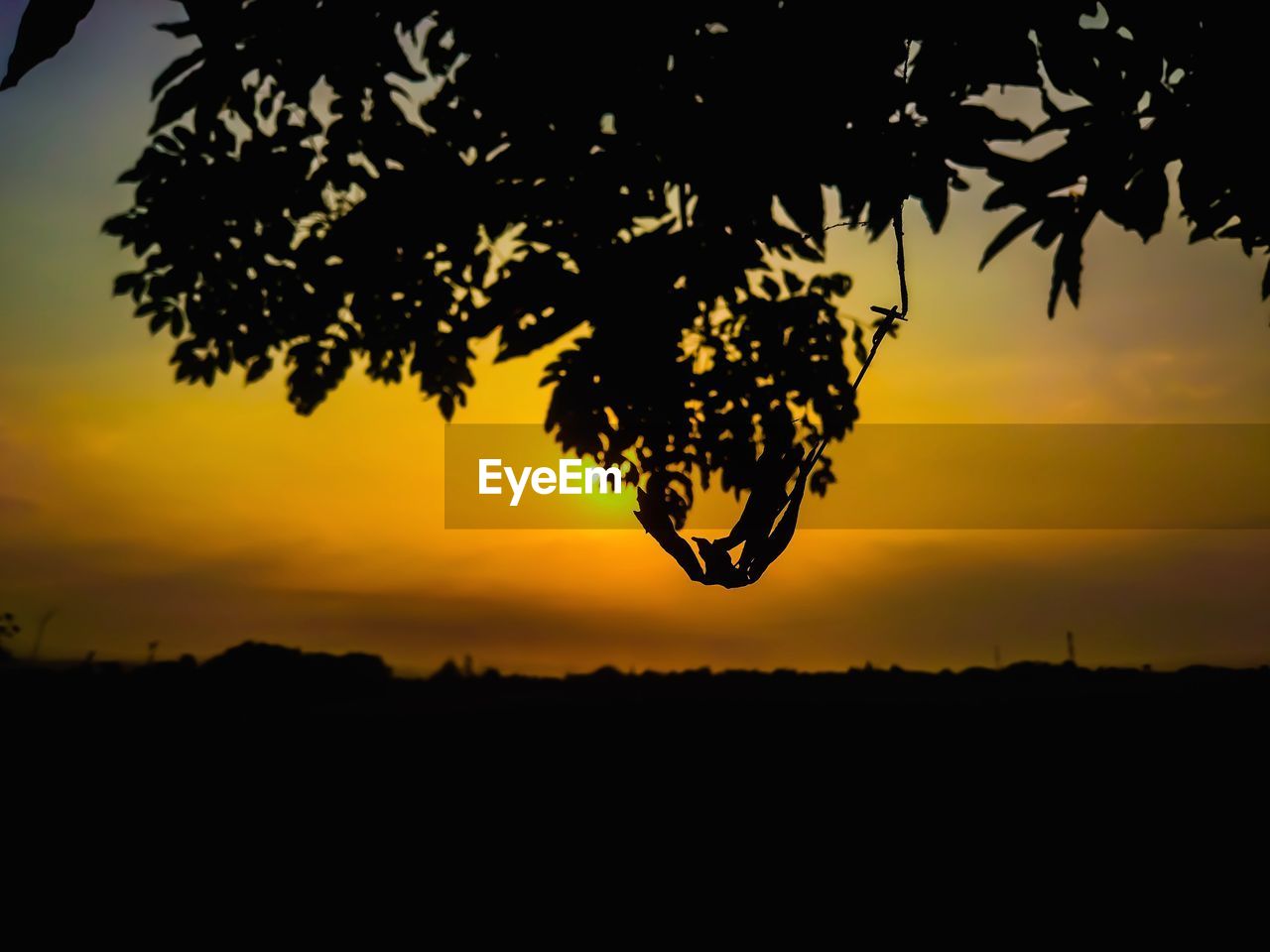 Silhouette tree against orange sky