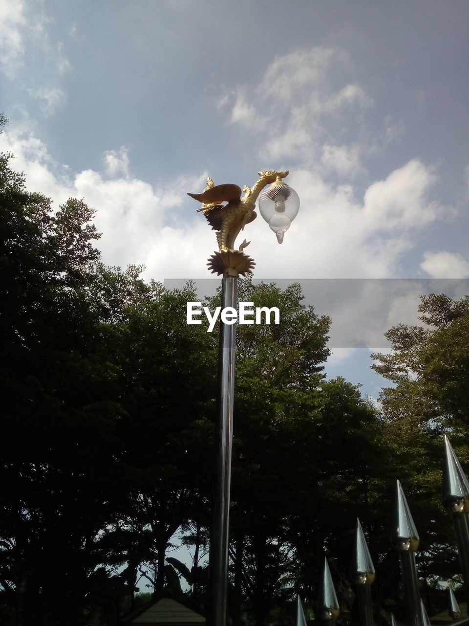 LOW ANGLE VIEW OF STREET LIGHT AND TREE AGAINST SKY