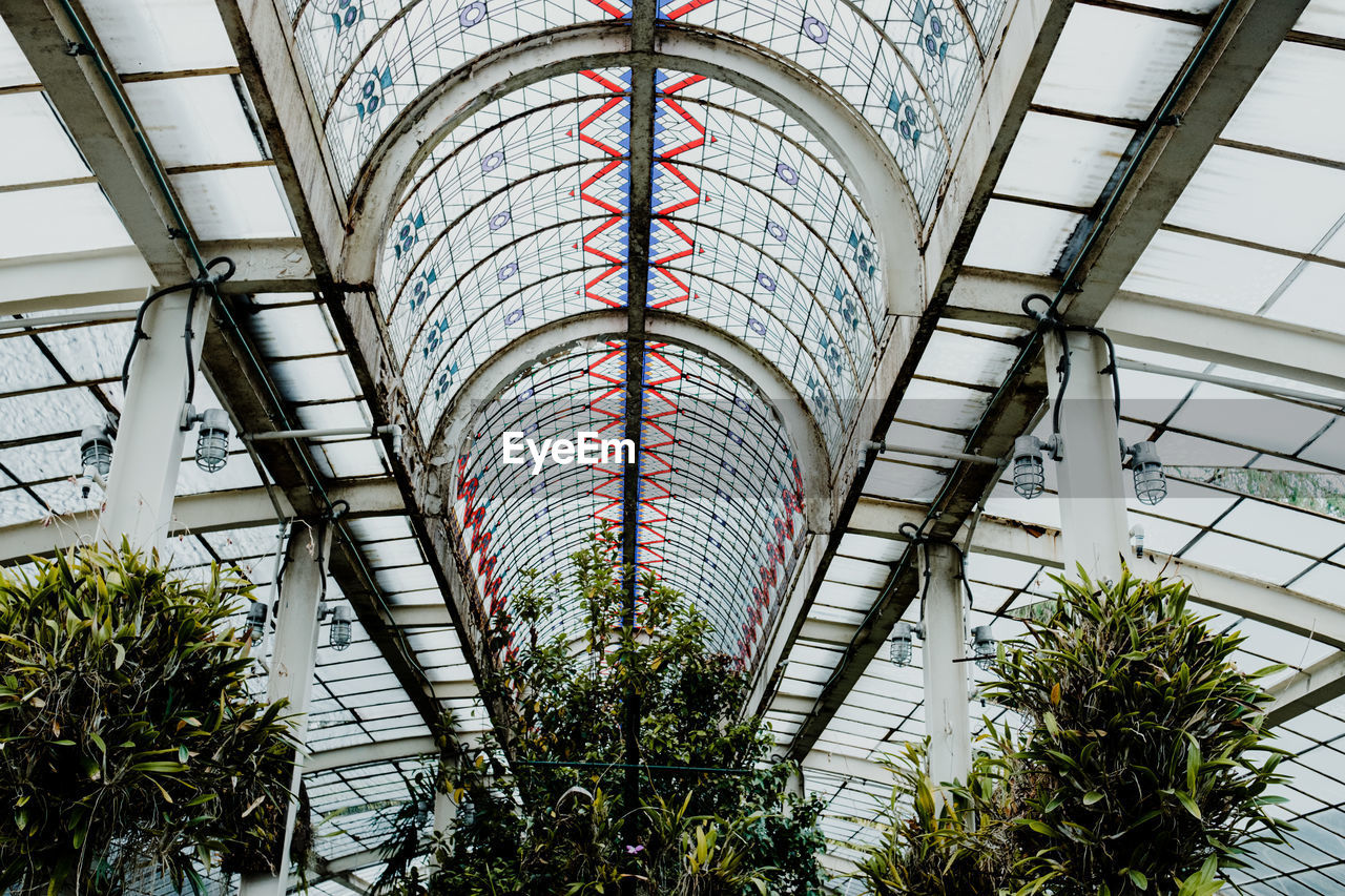 architecture, built structure, urban area, plant, greenhouse, indoors, low angle view, ceiling, no people, glass, day, nature, growth, tree, arch, pattern, skylight, metal, building