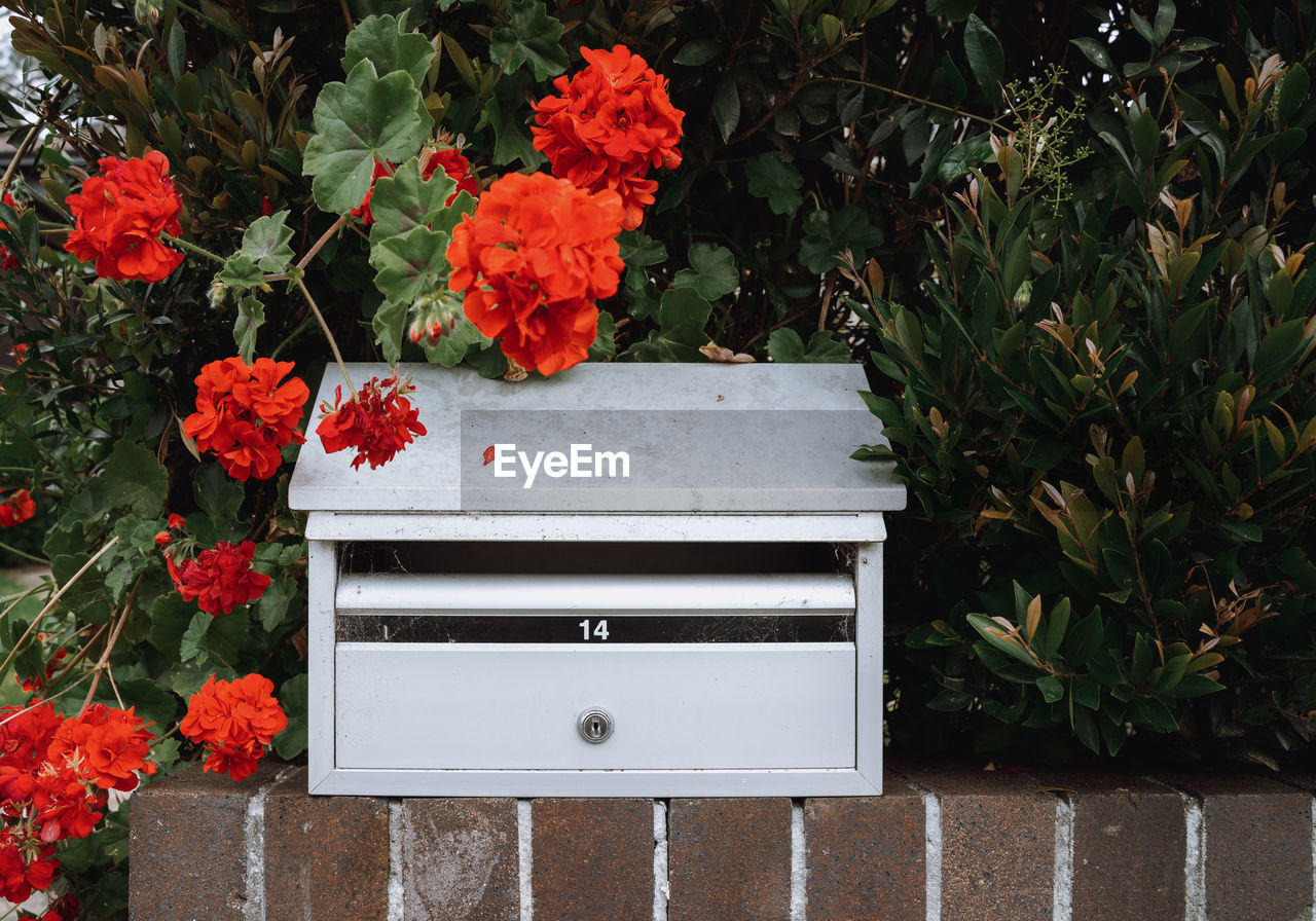 Mailbox surround by flowers
