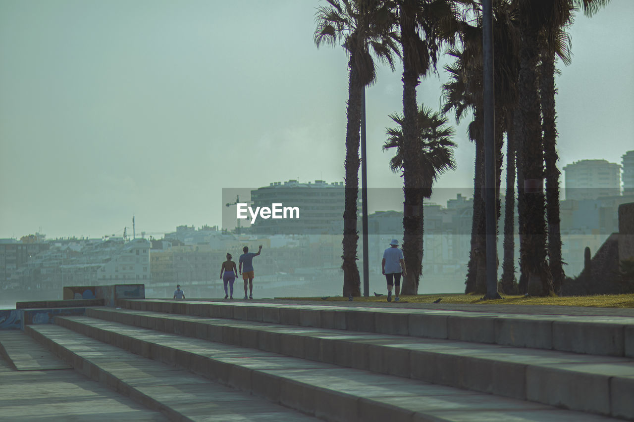 PEOPLE WALKING BY PALM TREES