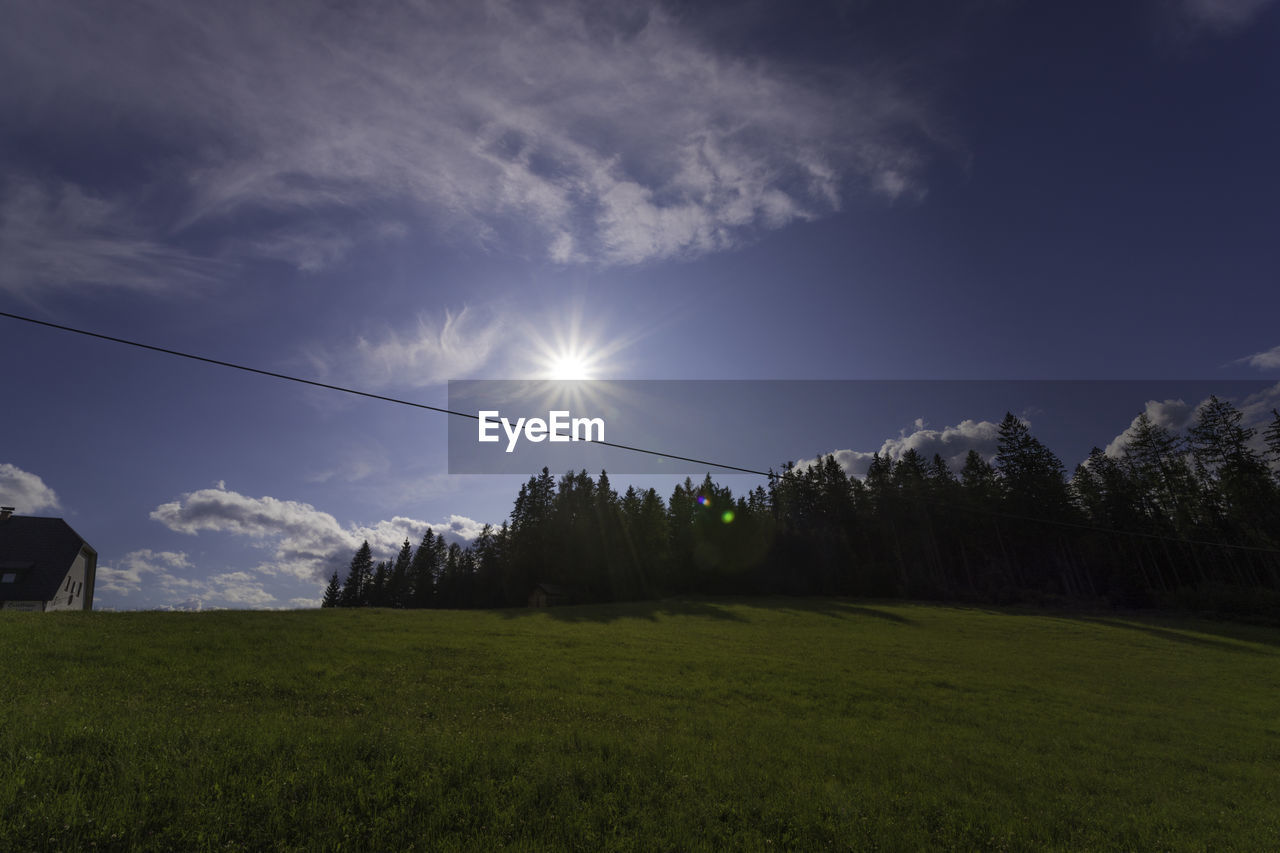 Scenic view of grassy field against bright sun