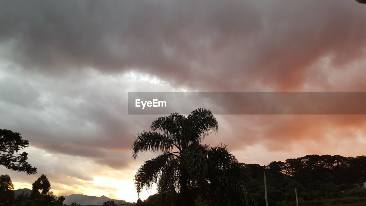 LOW ANGLE VIEW OF DRAMATIC SKY AT DUSK