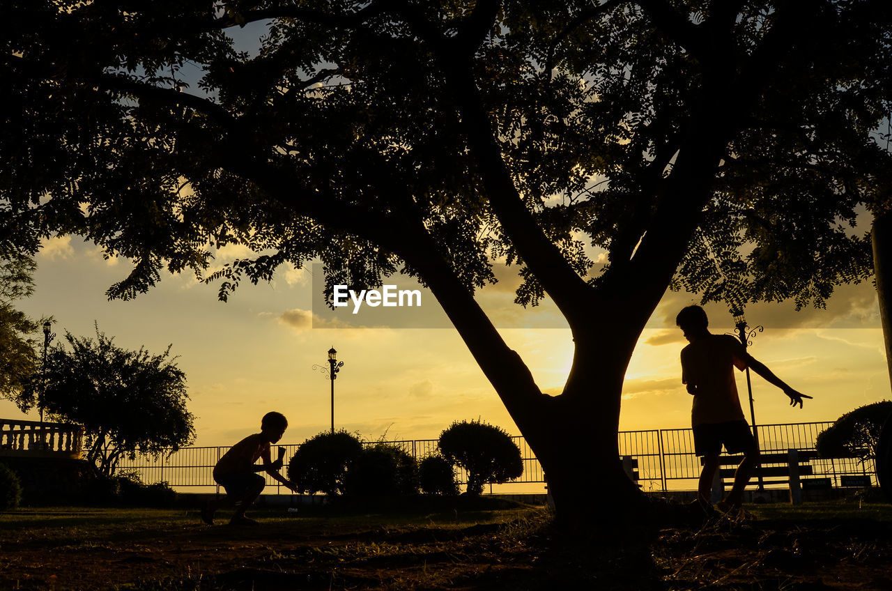 Silhouette people by tree on field during sunset