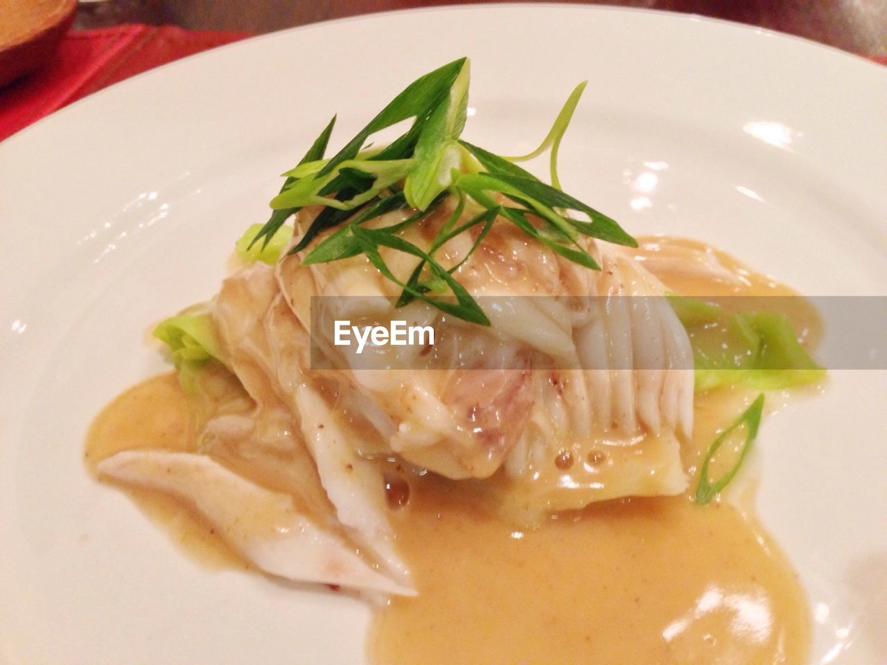 CLOSE-UP OF SERVED FOOD IN PLATE