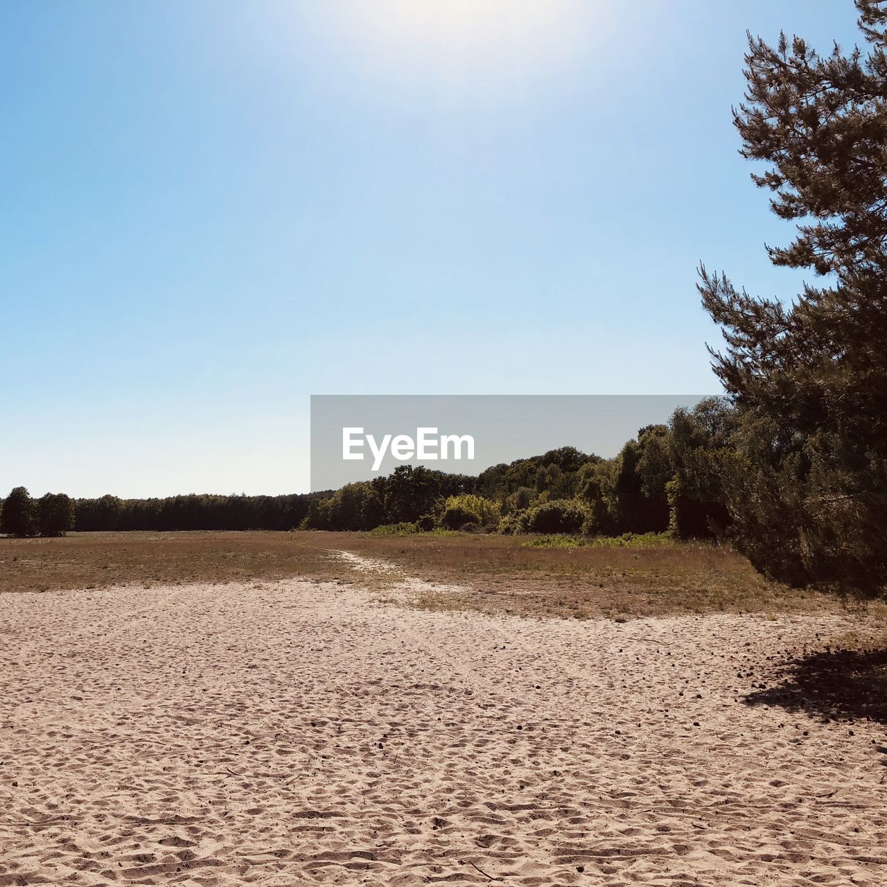 Scenic view of beach against clear sky