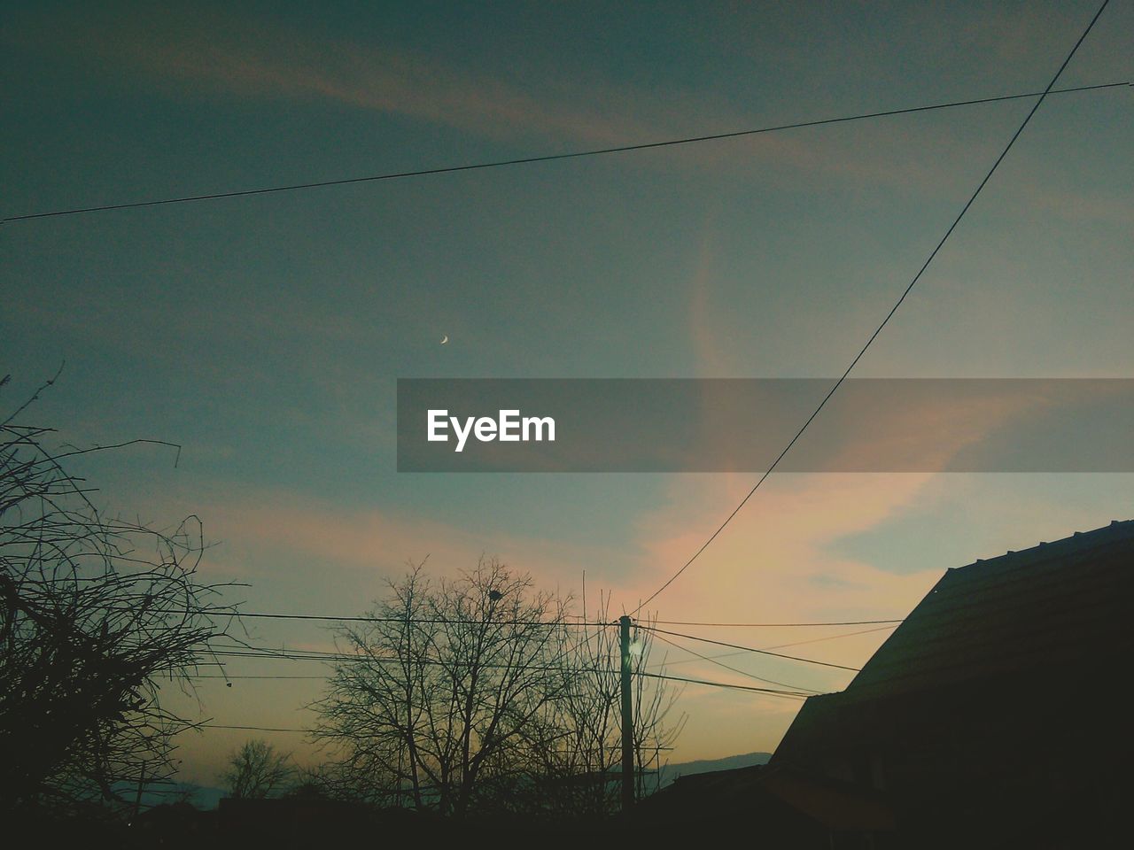 LOW ANGLE VIEW OF BIRDS AGAINST SKY AT SUNSET