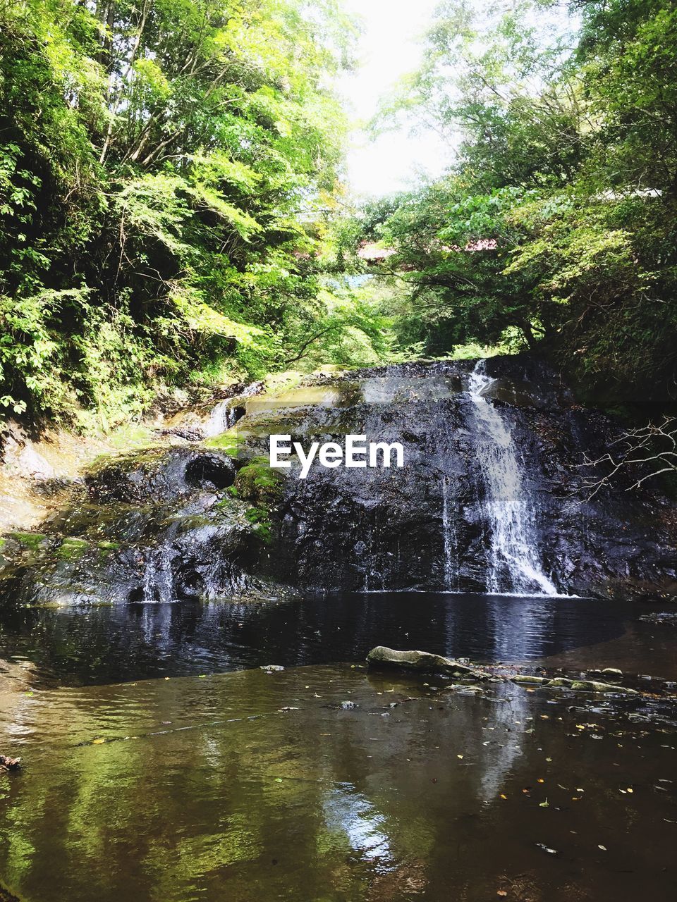 SCENIC VIEW OF WATERFALL