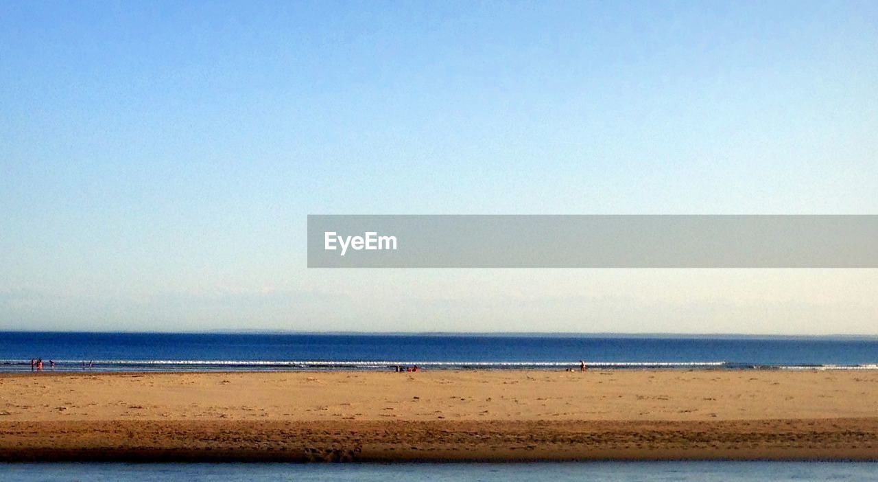 SCENIC VIEW OF BEACH AGAINST CLEAR SKY