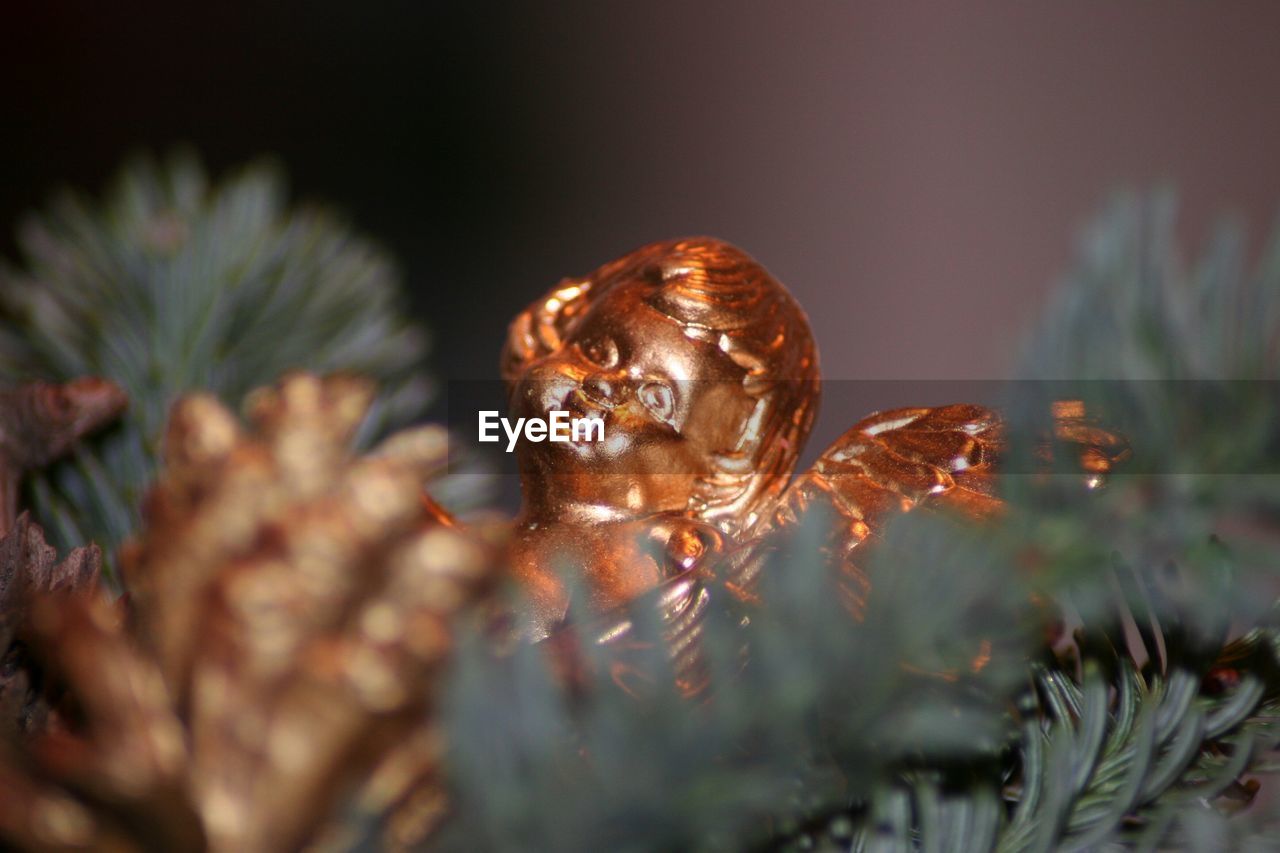 Close-up of figurine on christmas tree