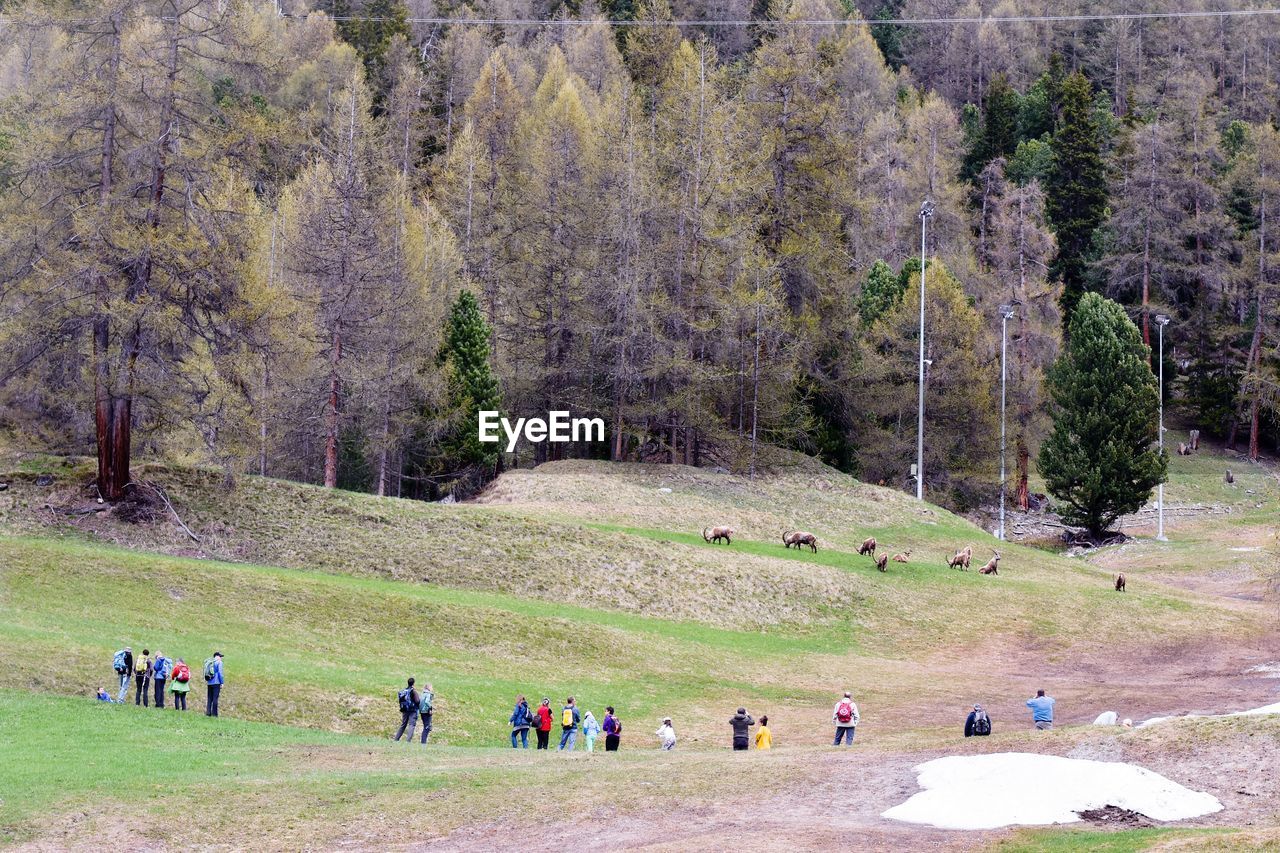 GROUP OF PEOPLE WALKING ON FIELD