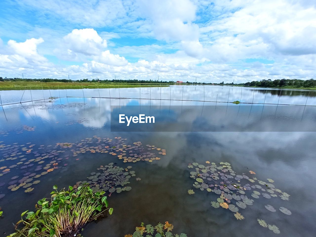 water, reflection, cloud, sky, nature, lake, environment, beauty in nature, scenics - nature, landscape, body of water, tranquility, shore, no people, tranquil scene, plant, land, day, outdoors, travel destinations, blue, reservoir, travel, tree, non-urban scene, wetland, lagoon, natural environment, sunlight