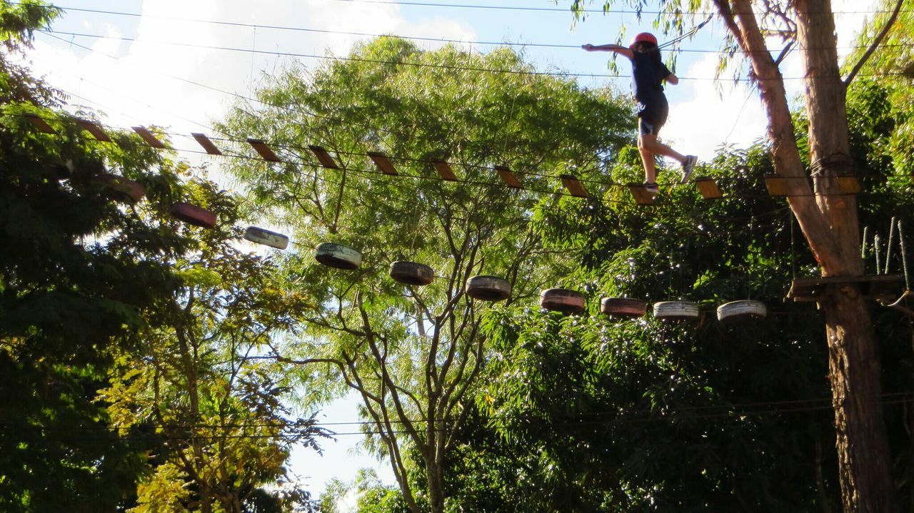 Low angle view of girl walking on rope bridge against trees