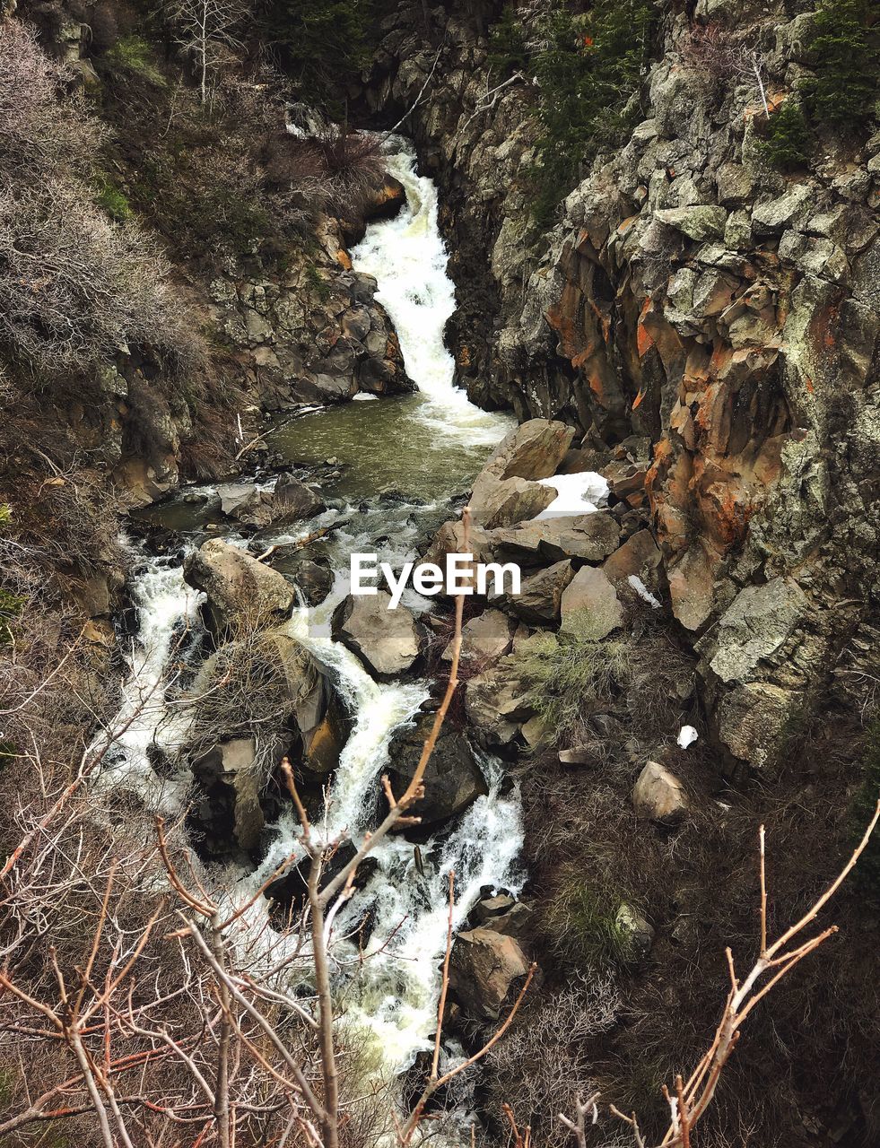 High angle view of snow on rock in forest